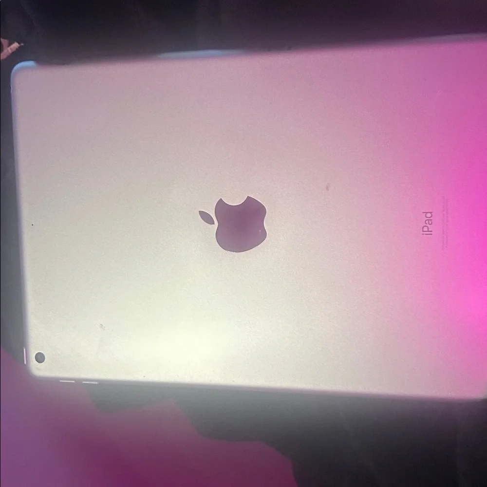 Apple Tablet in Elegant Silver
